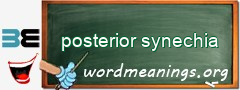 WordMeaning blackboard for posterior synechia